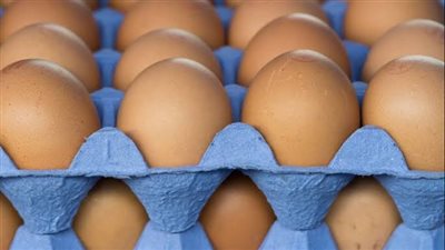 عاجل | تعاود الارتفاع.. سعر كرتونة البيض في مصر اليوم
