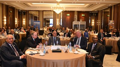 وزير الري يشارك في احتفالية 