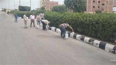 بمشاركة 13 وحده محلية.. ختام حملة مكبرة للنظافة ورفع المخلفات من المنطقة الصناعية بالدقهلية