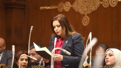 نائبة بالشيوخ تطالب بإطلاق مبادرة قومية للتوعية السياحية