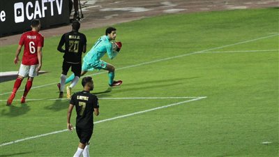 ماذا قال شوبير على 