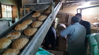 حملات تموينية مكثفة بمراكز الدقهلية تحرر محاضر مخالفات بالجملة 