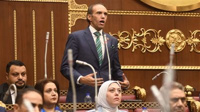 نائب بالشيوخ يطالب الحكومة بإفساح المجال للقطاع الخاص في التنمية الاقتصادية