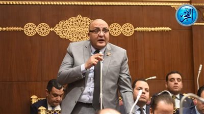 برلماني عن خطة التنمية الاقتصادية الجديدة: المفترض أن تستشرف المستقبل القريب