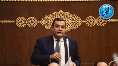 نائب التنسيقية يرفض خطة التنمية الاقتصادية والاجتماعية.. ويعلق: المعلومات غير كاملة 