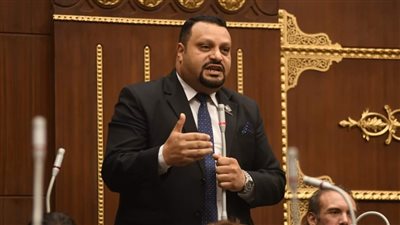 برلماني رافضا مشروع خطة التنمية الاقتصادية: «هناك مشكلة فى ترتيب الأولويات»