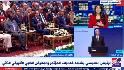 كيف يؤثر المؤتمر الطبي الإفريقي على اقتصاد القارة؟.. أستاذ اقتصاد يجيب (فيديو)