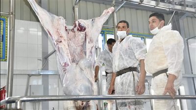 23 مجزرًا لاستقبال الأضاحي مجانًا بالجيزة.. اعرف الأماكن