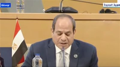 السيسي يستعرض إنجازات مصر خلال رئاسة الكوميسا