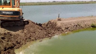 تنفيذ 16 حالة إزالة لمزارع سمكية مخالفة في بورسعيد