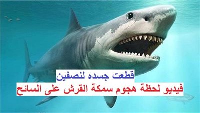 عاجل - فيديو صادم ومرعب 