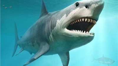 القومي لعلوم البحار: 