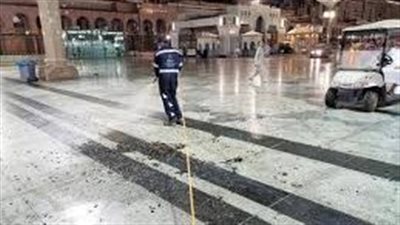 أسراب هائلة من الجراد تجتاح المسجد النبوي