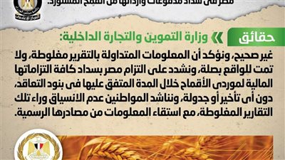 ما حقيقة تعثر مصر في سداد مدفوعات وارداتها من القمح المستورد؟