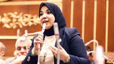 نائبة: زيادة برامج تشجيع المرأة الريفية يوفر الحياة الكريمة للأسرة المصرية