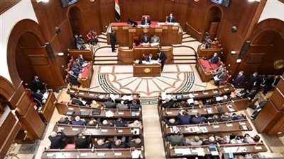 برلماني: الجولة الإفريقية للرئيس تهدف لتعزيز التبادل التجاري وحماية الأمن القومي المصري