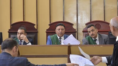 المؤبد لمتهم والسجن 10 سنوات لشقيقه في واقعة قتل ميكانيكي عمدًا ببورسعيد