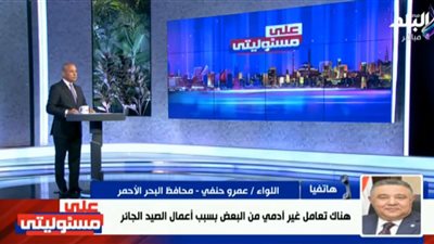 محافظ البحر الأحمر يكشف سبب اقتراب أسماك القرش من الشواطئ (فيديو)