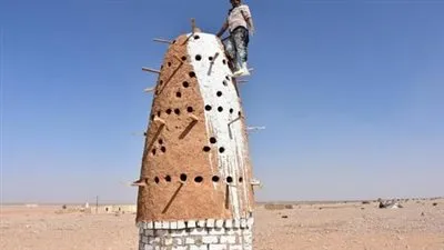 برايد: تسليم 400 برج حمام لـ المرأة المعيلة في مطروح (فيديو)