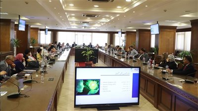 محافظة الجيزة تنظم ورشة عمل للمشاركين في المبادرة الثانية للمشروعات الخضراء الذكية