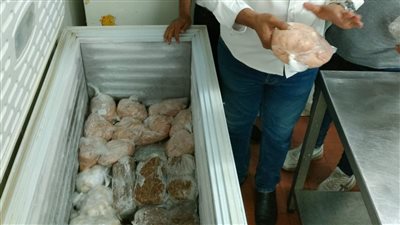 ضبط 550 كيلو هياكل ودواجن غير صالحة للاستهلاك الآدامي في الجيزة