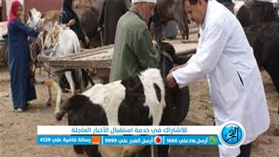قوافل الإسماعيلية البيطرية تواصل حملات علاج الماشية