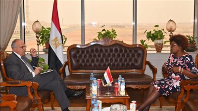 وزير الري يستقبل نظيرته الكينية لبحث سُبل تعزيز التعاون بين البلدين