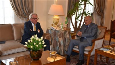 أبو الغيط يستقبل المنسق الأممي لعملية السلام 