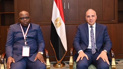 وزير الري يلتقي نظيره بجمهورية إفريقيا الوسطى لبحث التعاون بين البلدين 