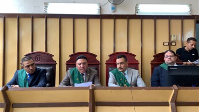 السجن 3 سنوات لمغتصب فتاة من ذوي الإعاقة ببورسعيد