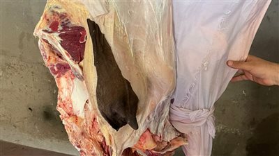 لحوم غير صالحة وذبح مخالف... تفاصيل ونتائج حملة مكبرة لسلامة الغذاء في الدقهلية 