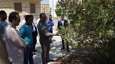 استعدادا لأسبوع شباب الجامعات.. رئيس جامعة حلوان يقوم بجولة تفقدية للصالة المغطاة