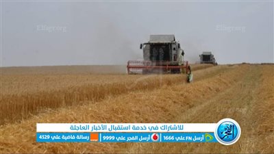 محافظ الإسماعيلية: 