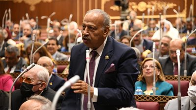 برلماني: الحوار الوطني يفتح آفاق جديدة في شراكة المجتمع المدني بعجلة التنمية