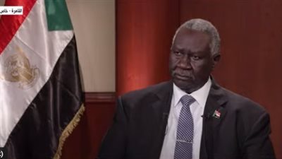 نائب مجلس السيادة السوداني: مصر أكثر الدول تأثرًا بأزمتنا