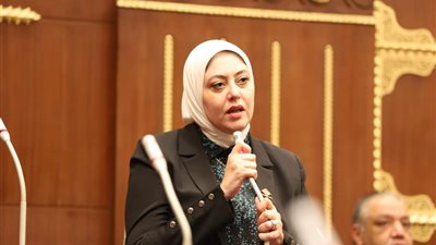 نائبة التنسيقية: تعظيم دور التعاونيات ضرورة لمواجهة التحديات الاقتصادية