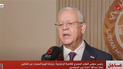 حنفي جبالي: تشكيل لجنة صداقة دائمة بين مجلسي النواب المصري والليبي