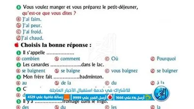الآن.. حل نموذج إجابة امتحان الفرنساوي لطلاب الصف الثالث الثانوي 2023
