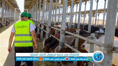 الأورمان ترفع درجة الاستعداد لاستقبال عيد الأضحى.. ذبح الأضاحي بالمجان