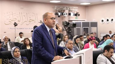 عضو التنسيقية يطالب بإطلاق استراتيجية موحدة للصناعة المصرية 
