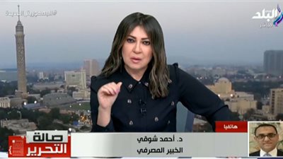 توقعات قرار البنك المركزي بشأن سعر الفائدة.. خبير مصرفي يوضح (فيديو)