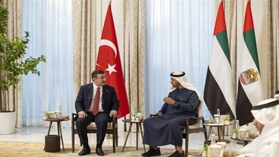 مباحثات بين رئيس الإمارات ونائب الرئيس التركي.. تفاصيل