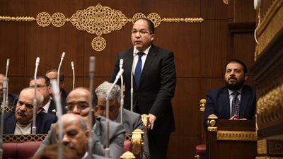 برلماني: الرئيس السيسي حريص على تبني رؤية شاملة لاحتياجات الدول النامية