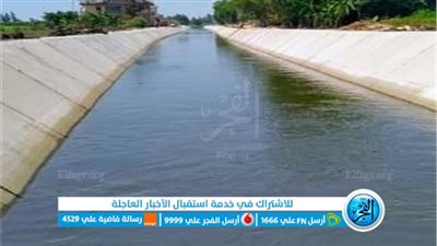 الري: تطهير جميع الترع في مصر قبل دخول الصيف (فيديو)