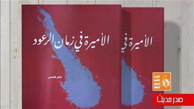 قصور الثقافة تصدر ديوان 