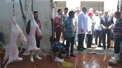 استعدادا لعيد الأضحى.. محافظ القليوبية يتفقد المجازر 