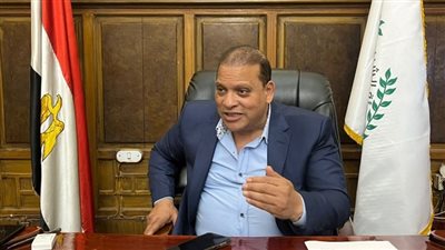 أحمد الفضالي: الجماعة الإرهابية هي من تروج أن الانتخابات الرئاسية 