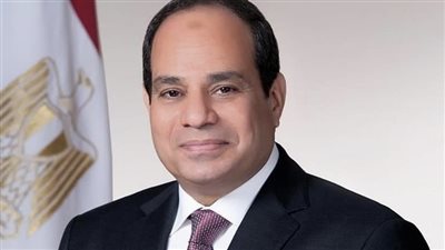 السيسي: الشعب انتفض بـ30 يونيو ثائرا على من أراد اختطاف وطنه (فيديو)