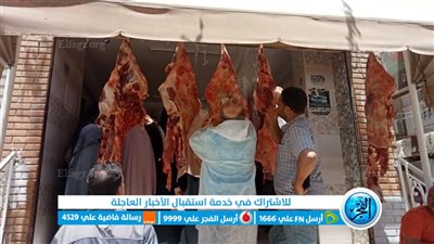  حملات مكثفة بالفيوم على محال الجزارة وشوادر الذبح استعدادا لعيد الأضحى المبارك