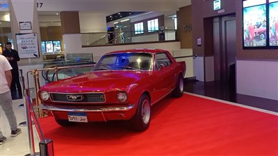 ريد كاربت فيلم 